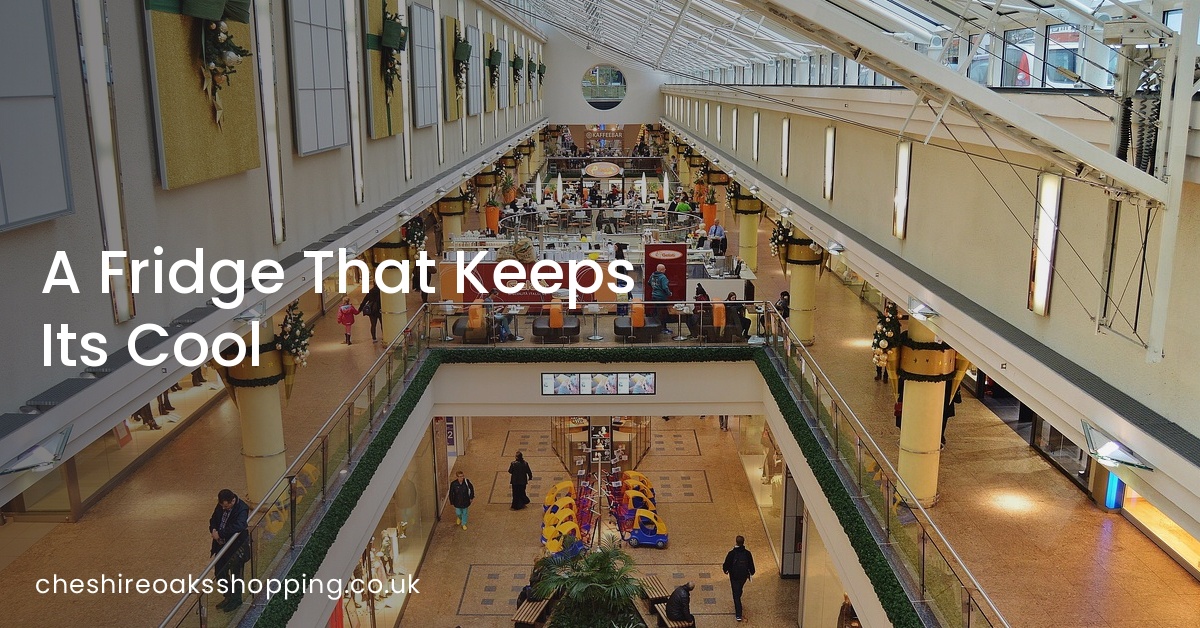 A Fridge That Keeps Its Cool